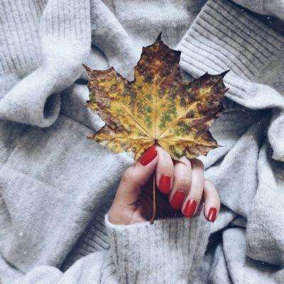 贝博app代言艾弗森手机app下载