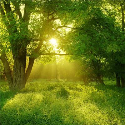 bsport体育在线登录下载手机版